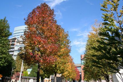 �g�t�^������(2005.11.12�B�e)