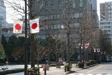 �V�N���}�������t��