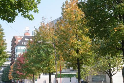 �H�߂��Ă��܂���