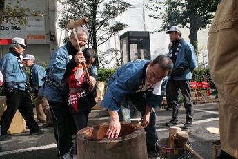 ���C�V���I