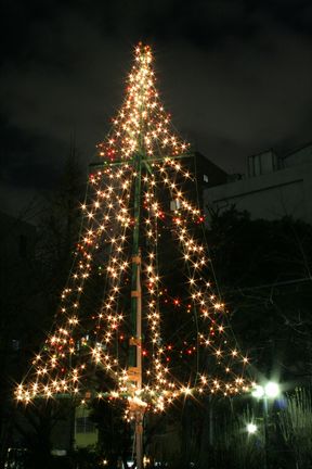 ����N���X�}�X�c���[����I